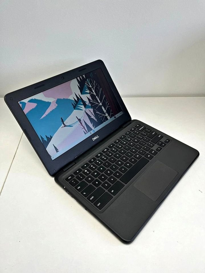 Chromebook Dell 3100, Google Play